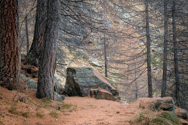 Senderismo en el norte de España en autocaravana y camper