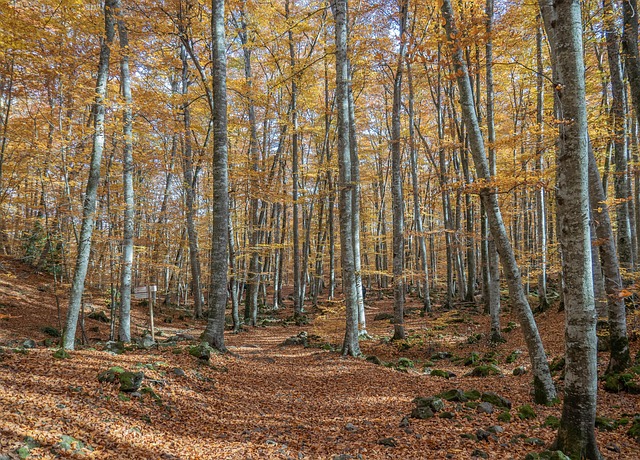 Viaje a la Garrotxa en autocaravana